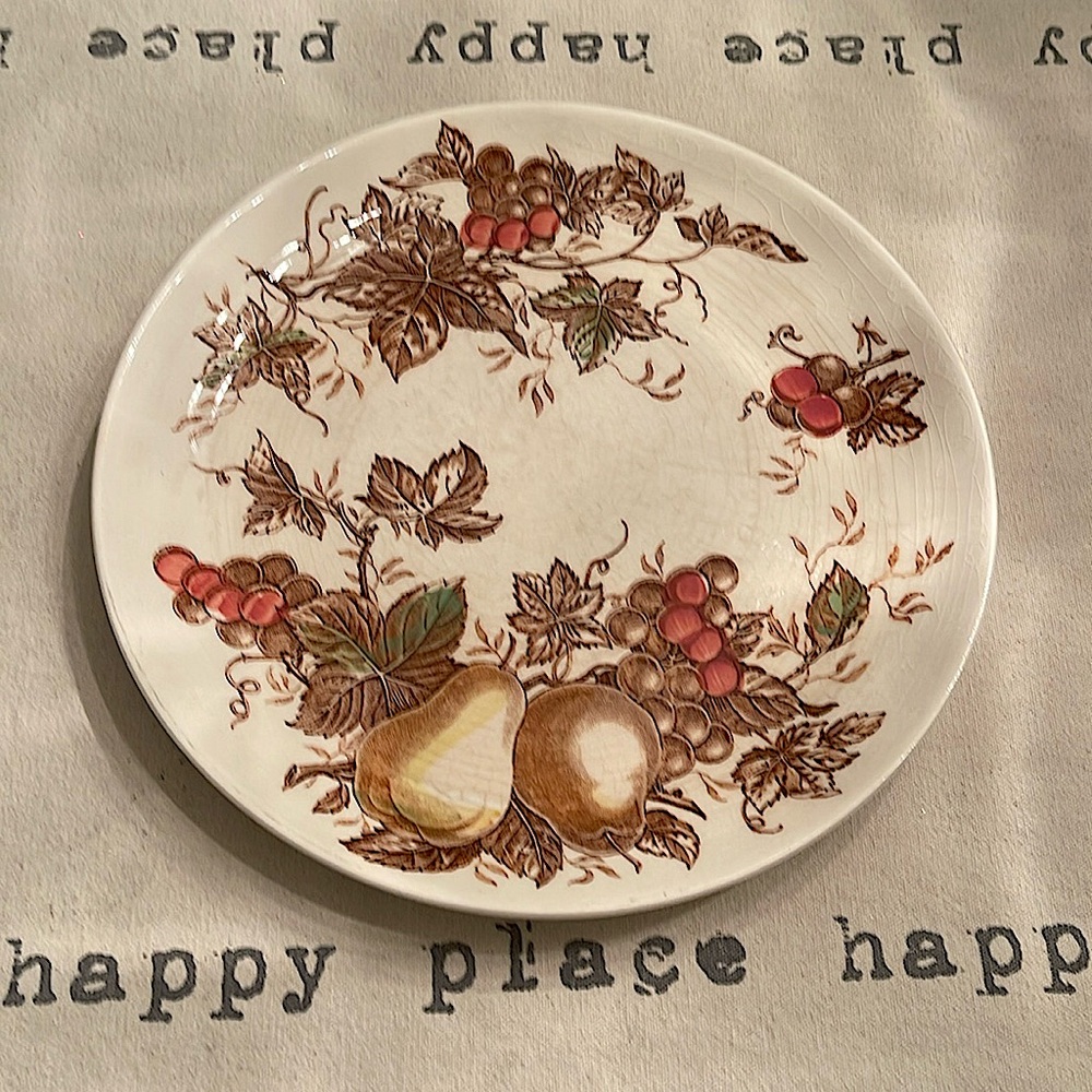 Vintage NAS-O FRUIT ARBOR Dinner Plate/10 in